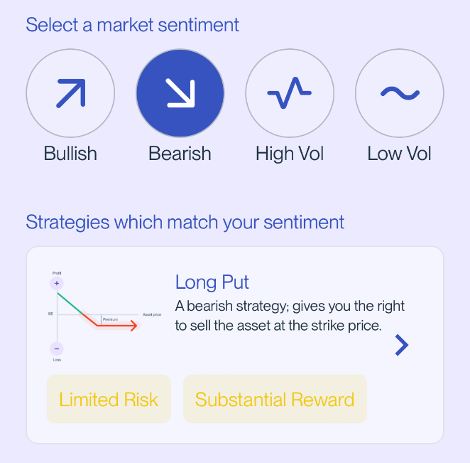 Long Put Option Trading Strategy